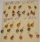 Мормышка вольфрамовая Дробь 4 гальваника Золото 850